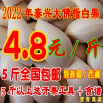 5 pounds of most of the countrys 2022 fresh special-grade Taixing Buddha finger ginkgo fruit without bleaching