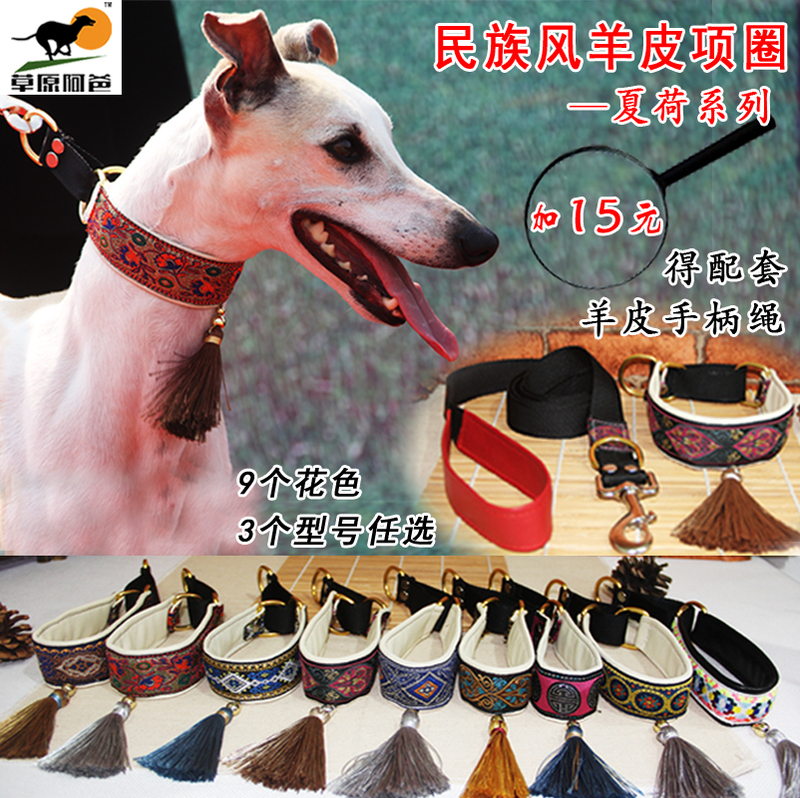 Dog Collar and Leash Set for Greyhound, Whippet, Small Dogs, Afghan, Beagles