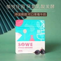 Columbia Palm and Toucan Estate Anaerobic Lactic Acid Fermented Sun-dried Coffee Beans 120g