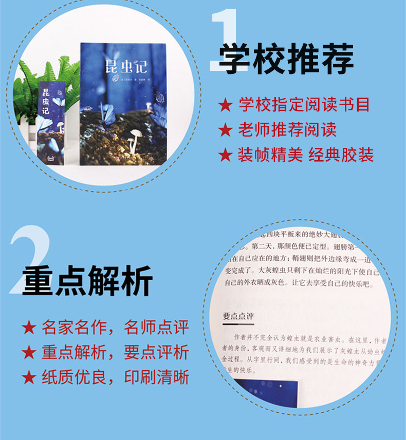 昆虫记 新课标必读名著书籍 图3