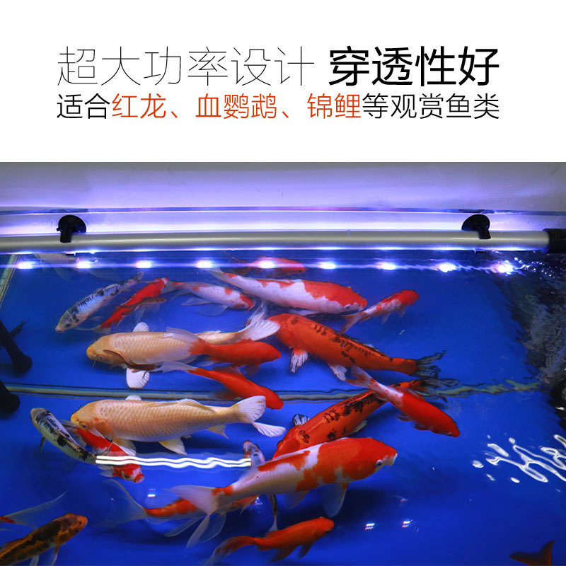 Fish tank Lights Waterproof Lighting Water Grass Lamp Sensen Diving Light Water Communal Lamp LANTERN SLIM Golden Dragon Fish Aquarium