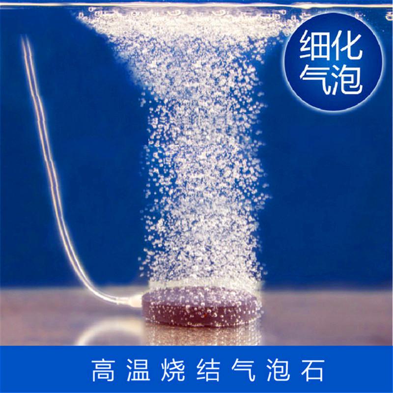 Bubble fish tank oxygen sand silent nano oxygen pump extremely decorated sand head scenic aquatic fish aquatic aquarium aquarium aquatic aquatic aquarium aquatic aquatic aquatic aquatic aquarium aquatic aquatic aquarium aquatic aquatic aquarium aquatic aquatic aquarium aquarium aquatic aquatic aquarium