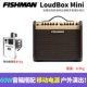 Ngư dân Fishman Loa Lớn mini 60W Đàn guitar acoustic dân gian chơi sạc loa violin - Loa loa loa b&w