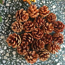 Pine fruit dried flower handmade DIY home accessories rattan circle dry wood shooting props simulation dried flower stick Dry Branch