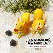 New raw ACORN natural ACORN squirrel grain forest decoration props ornaments DIY handmade supplies