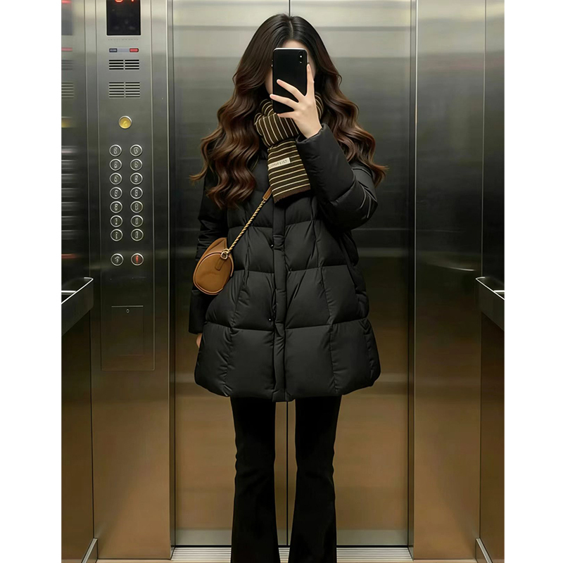 High down Fill, Super Stylish Women's down Jacket, 2025 Winter New Model, High-End Feel, Thickened White Duck down Short Coat