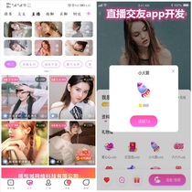 One-on-one Live Streaming Software Voice Dating App Short Video Shopping System Source Custom Development Platform