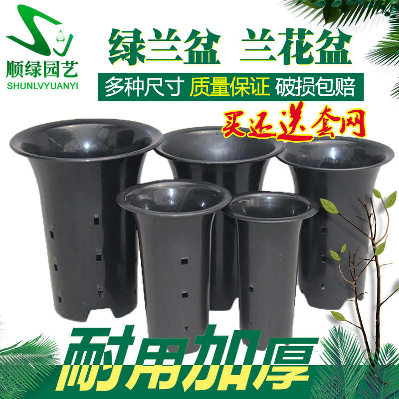 Clear bin Reduced price Orchid Basin pelvic basin plastic breathable thickened black with hole Four Seasons Lanjun Lanflower special tray
