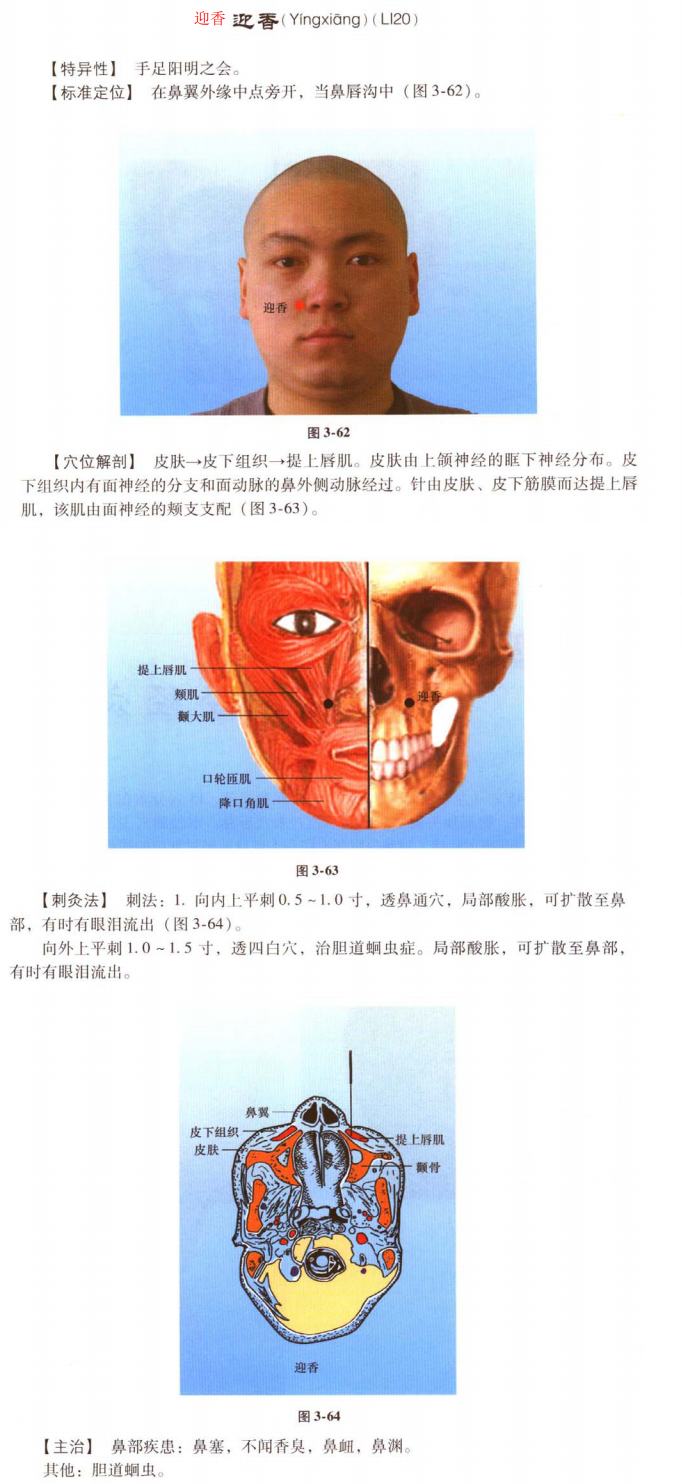 迎香.png