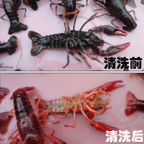 Crayfish washing shrimp powder Baitai rich black rust washing shrimp crab powder washing crab powder washing crab powder washing crab artifact black scale quick net