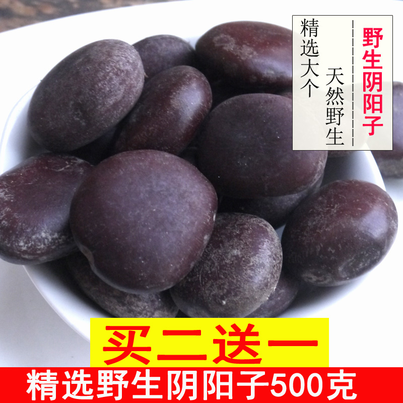 Guangxi Yinyangzi Wild 500g Double Kidneys Cross River Dragon Brewing Wine with Merry Fruit Medicinal Wine