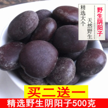 Guangxi Yinyangzi wild 500g double kidney crossing Jianglong brewing wine material with romantic fruit herbal wine