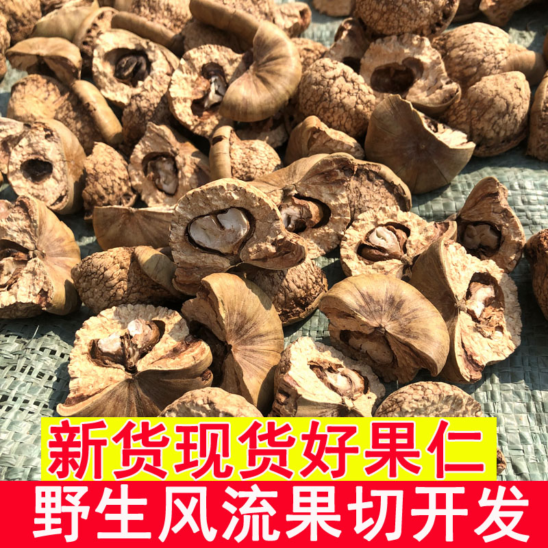 Cut open wild wind flow fruit 500 grams kidney Tianzhu grain green fruit male rebathing hotel dragon tiger wine warm kidney tonic yang