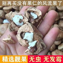 Cut wild romantic fruit 500g kidney Tianzhu grains green fruit mens tonic hotel dragon and tiger wine warms the kidneys and nourishes yang
