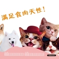 艾乐弗宠物零食的LOGO