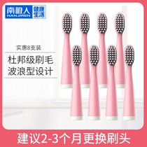 Antarctic NZ09F50223 Electric sonic toothbrush replacement toothbrush head Antarctic NJR-D1 toothbrush head