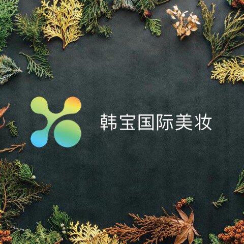 韩宝国际美妆的LOGO