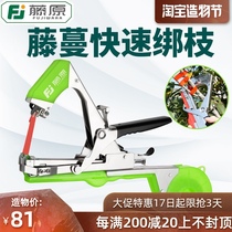 Fujiwara banding machine Vine banding machine Tomato Tomato vine banding machine Fixing tape banding machine