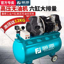 Fujiwari Industrial Grade Large Air Compressor Woodwork Spray Painting Steam Repair Without Oil Silent High Pressure Air Pump Air Compressor