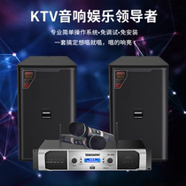 Temeacoustic Acoustics KY12 Suits Y10 Y10 Conference Performance Home KTV Card Pack Bluetooth Power Amplifier Wireless Microphone Stage