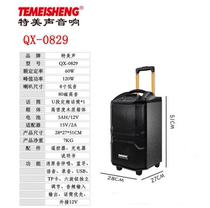 Temei Sound Acoustics 0829 Outdoor Professional Mobile Tie Bar Square Dance Bluetooth Heavy Bass High Power Microphone Insert