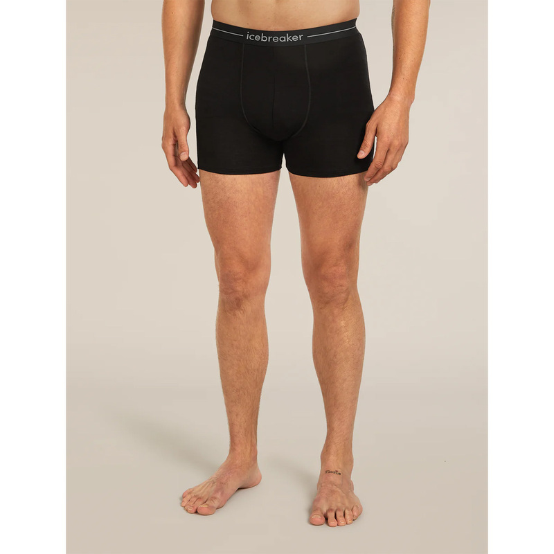 Icebreaker Merino 150 Anatomica Boxers Men's Wool Blend Boxer Briefs