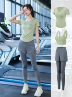 Комплект, штаны, короткий рукав, 3 предмета