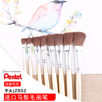 Japanese Pentel paitong ZBS2 horse mane flat head watercolor painting pen gouache painting brush