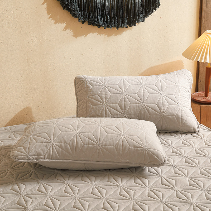 Class A antibacterial anti-mite jacket cotton pillowcase a pair of dustproof and dirty pillowcase protection pillow case 48x74cm