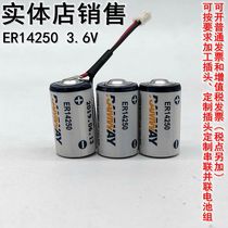 Ruiyi Lithium battery ER14250 3 6V KTS Delta Programmer Internet of Things PLC1 2AAER14250H