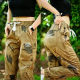 Workwear sweatpants ຂອງແມ່ຍິງ summer ບາງໆ 2025 leggings ຮູບແບບໃຫມ່ຄົນອັບເດດ: ກາງເກງ casual ວ່າງແນວໂນ້ມ pants camouflage ທີ່ນິຍົມ