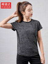 Sports fitness jacket womens short sleeve T-shirt summer loose size running training yoga suit breathable quick-drying half sleeve