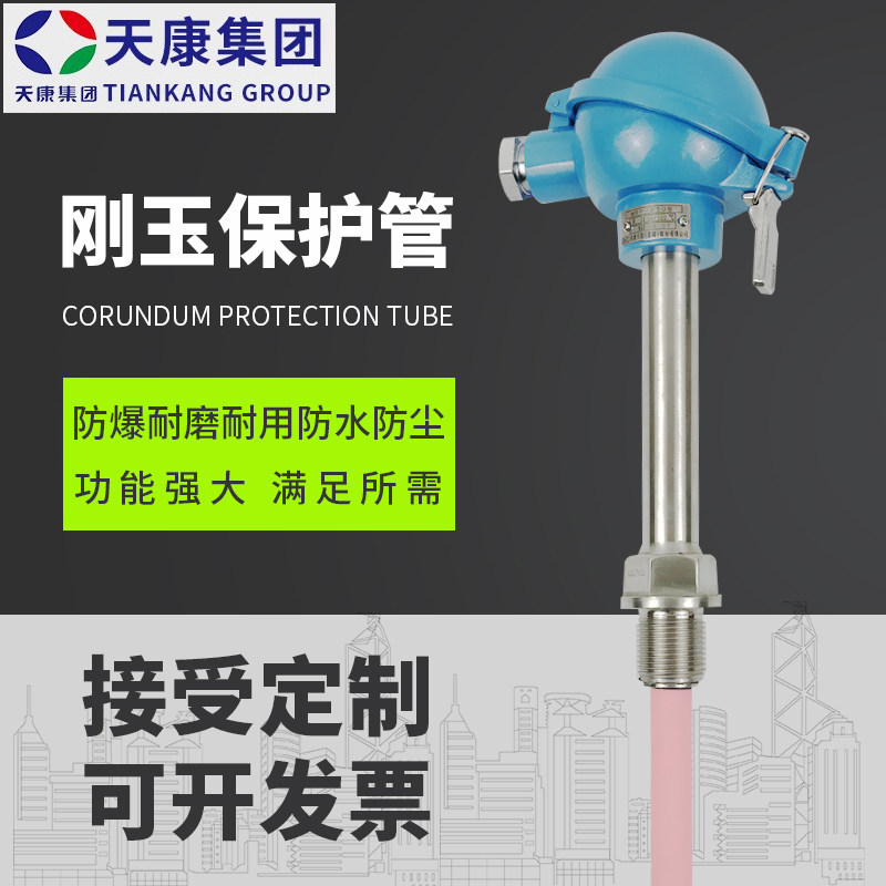 Anhui Tiankang Group thermocouple WRP - 230 S type corundum tube resistant high temperature manufacturer direct sales