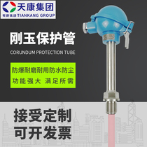 Anhui Tiankang Group Thermocouple WRP-230 s Type Corundum Pipe High Temperature Resistance Factory Direct