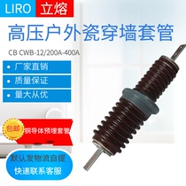 LIRO vertical melting 10KV outdoor high pressure CWB-12 200A400A630A anti-fouling copper row pre-embedded Wall casing