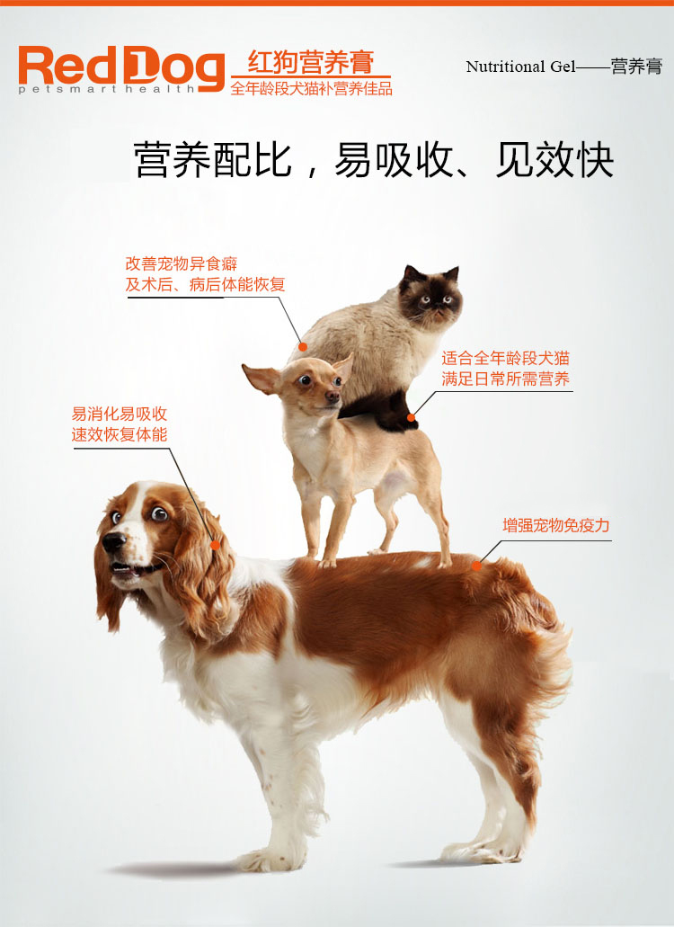 Con chó màu đỏ kem dinh dưỡng dog cat dinh dưỡng kem Teddy kitten puppies mang thai sau dinh dưỡng sản phẩm sức khỏe 120 gam sữa bio cho mèo