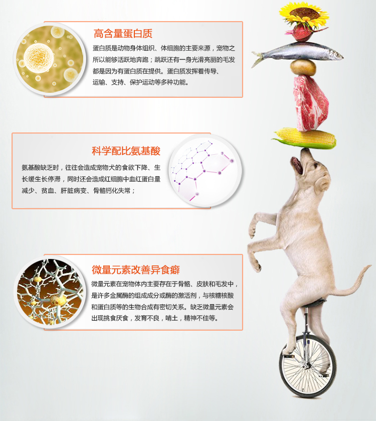 Con chó màu đỏ kem dinh dưỡng dog cat dinh dưỡng kem Teddy kitten puppies mang thai sau dinh dưỡng sản phẩm sức khỏe 120 gam sữa bio cho mèo