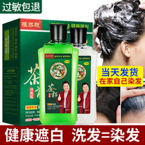 Tea seeds run black dew water black hair official website home hair dye cream white hair wash natural black plant shampoo