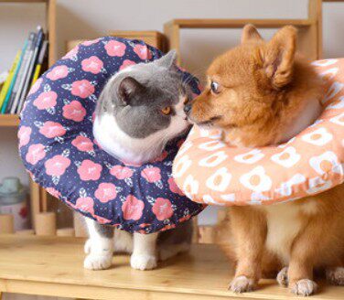 Kitty Elizabeth Circle Soft Cloth Day Teppy Dog Soft Cloth Neck Collar Shame Ring Small Dog Anti-Licking Neuter Neuter