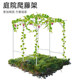 Grape rack outdoor courtyard garden villa flower rack ຜັກເຄືອ pergola flower melon bean plant support pole flower bracket