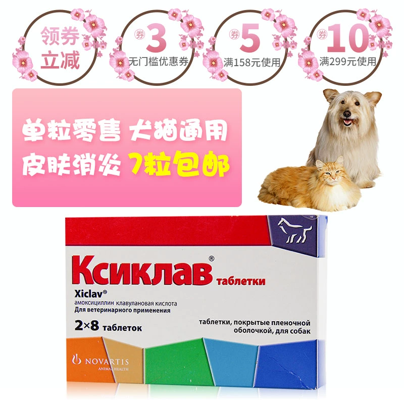 Swiss Novartis cyclosporine viên chống viêm 600mg viên đơn - Cat / Dog Medical Supplies