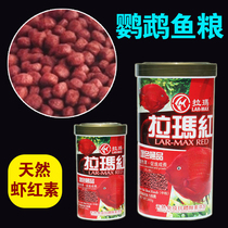 Rama red hair chaise high nutrition Treasure Blood Parrot Fish Exclusive Fish Grain Red Color Increased Color Feed Tropics