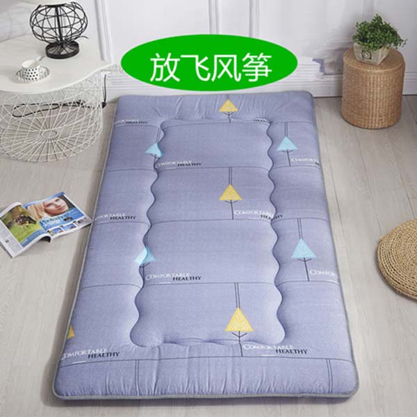 Nệm sinh viên 0.9 Ký túc xá 90cm Pad Nhíp Thảm sàn Độ ẩm Tatami Văn phòng Napping nệm cao su tổng hợp