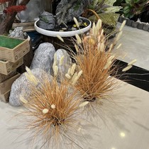 Simulated foxtail grass clumps of cattails and withered grass clumps of autumn and winter landscaping decoration bed and breakfast scenery plush grass ornaments