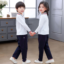 Kindergarten garden clothes spring and autumn suits Primary school school uniforms pure cotton sportswear autumn class clothes long-sleeved POLO shirt customization