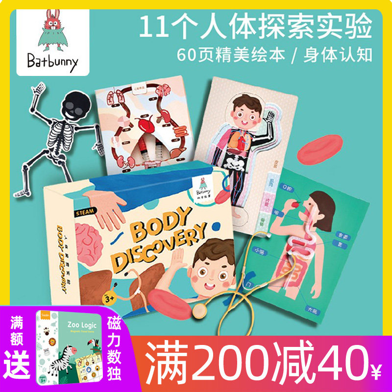 Bat Rabbit Human Body Exploring Experimental Science Making Materials Experimental Creative Toy Elementary School Students Human Organ Models