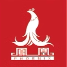 上海凤凰童车商城