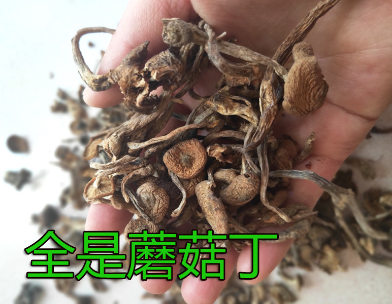 Inner Mongolia hazelnut meat thick and tasty 500 gr catty of house to dry autumn new goods downhill