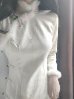 Утепленный лонгслив, ретро ципао, коллекция 2023, с вышивкой