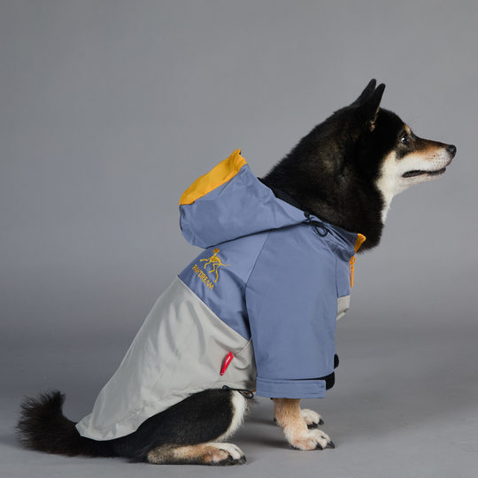 Paw Dream Trendy Windproof and Rainproof Dog Raincoat for Large Dogs, Pet Raincoat